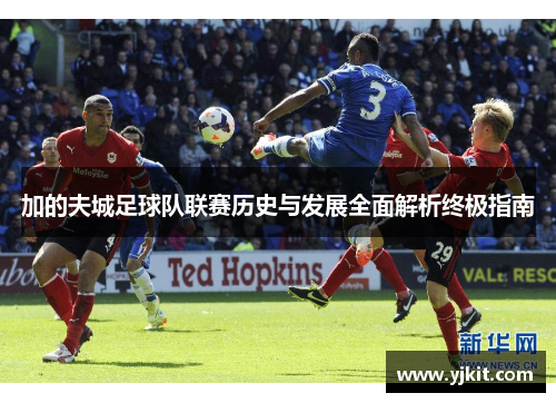 加的夫城足球队联赛历史与发展全面解析终极指南